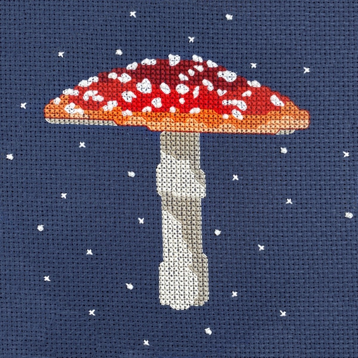 Mushroom Cross Stitch Kit - Modern Craft Kit from Kirsty Freeman Design