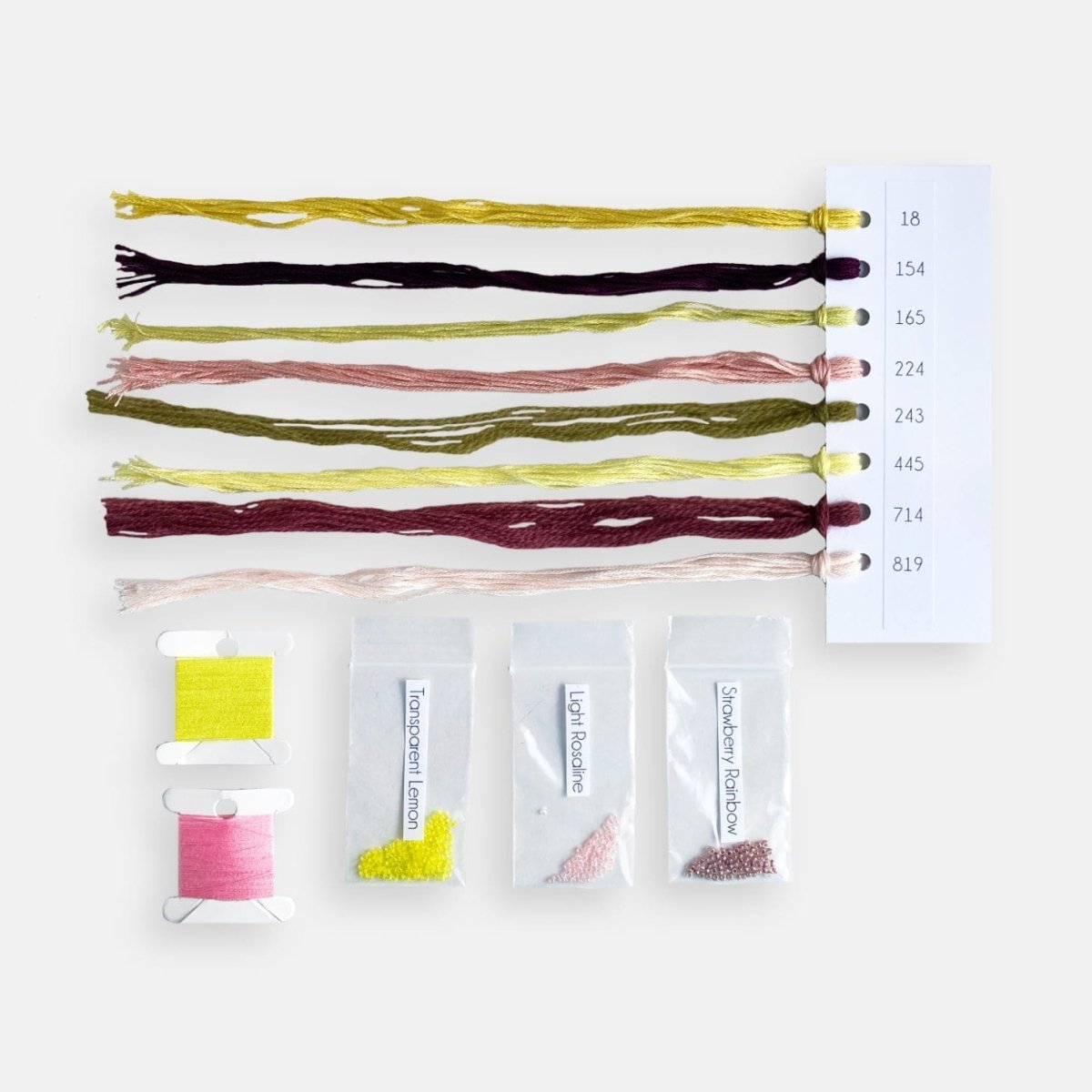Flower Embroidery Kit - Modern Craft Kit from Kirsty Freeman Design
